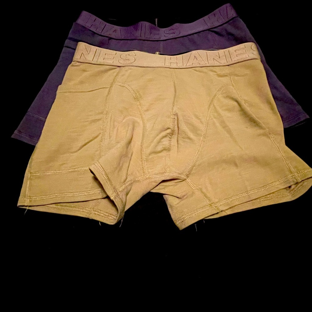 Hanes Explorer boxer briefs (small) 2 pack